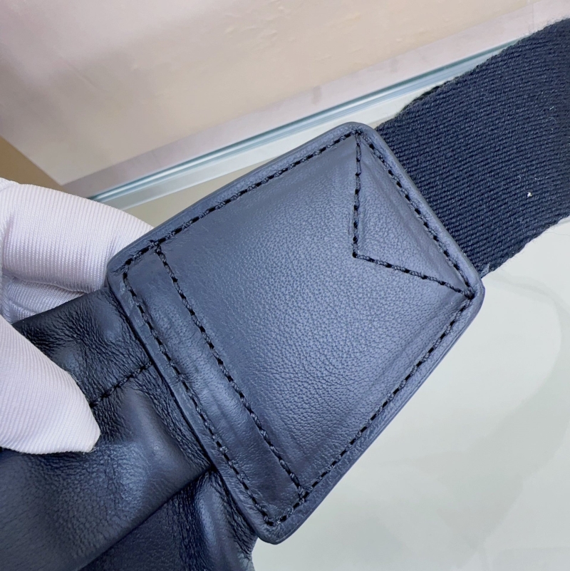 Bv*b*rry waist chest packs